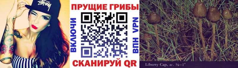 Галлюциногенные грибы прущие грибы  Пионерский 